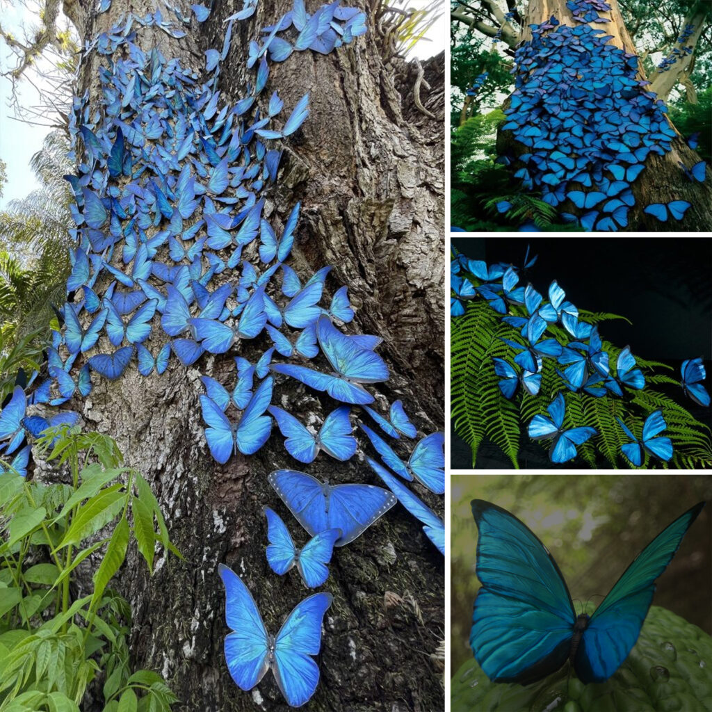 The amazing mutant butterfly that can shift colors at will and glows for 48 hours straight to attract a mate