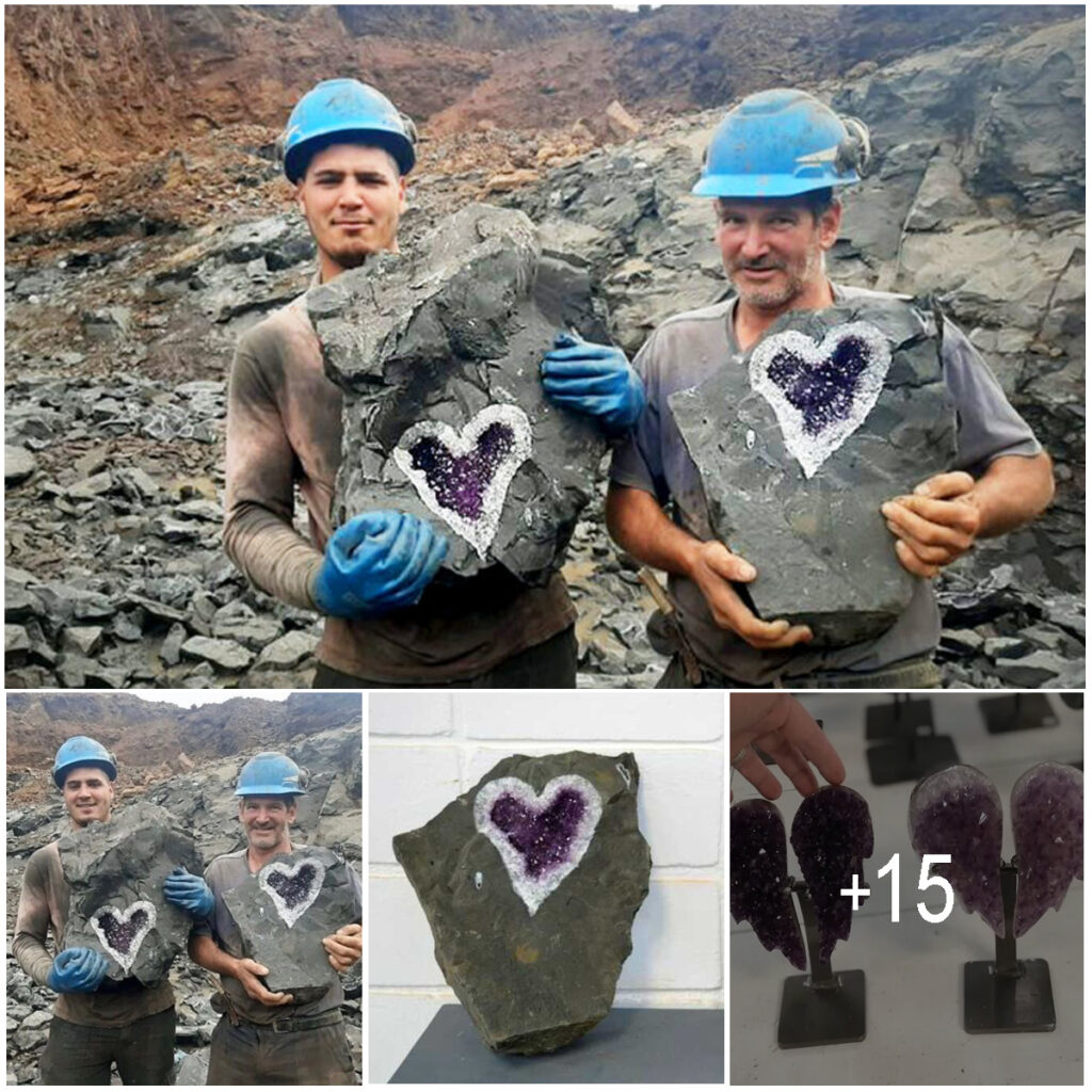 Uruguayan Miners Stumble Upon a Breathtaking Heart-Shaped Amethyst Geode!