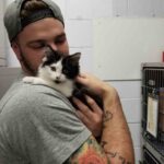 A stray kitten approaches a couple, pleading to be taken home.