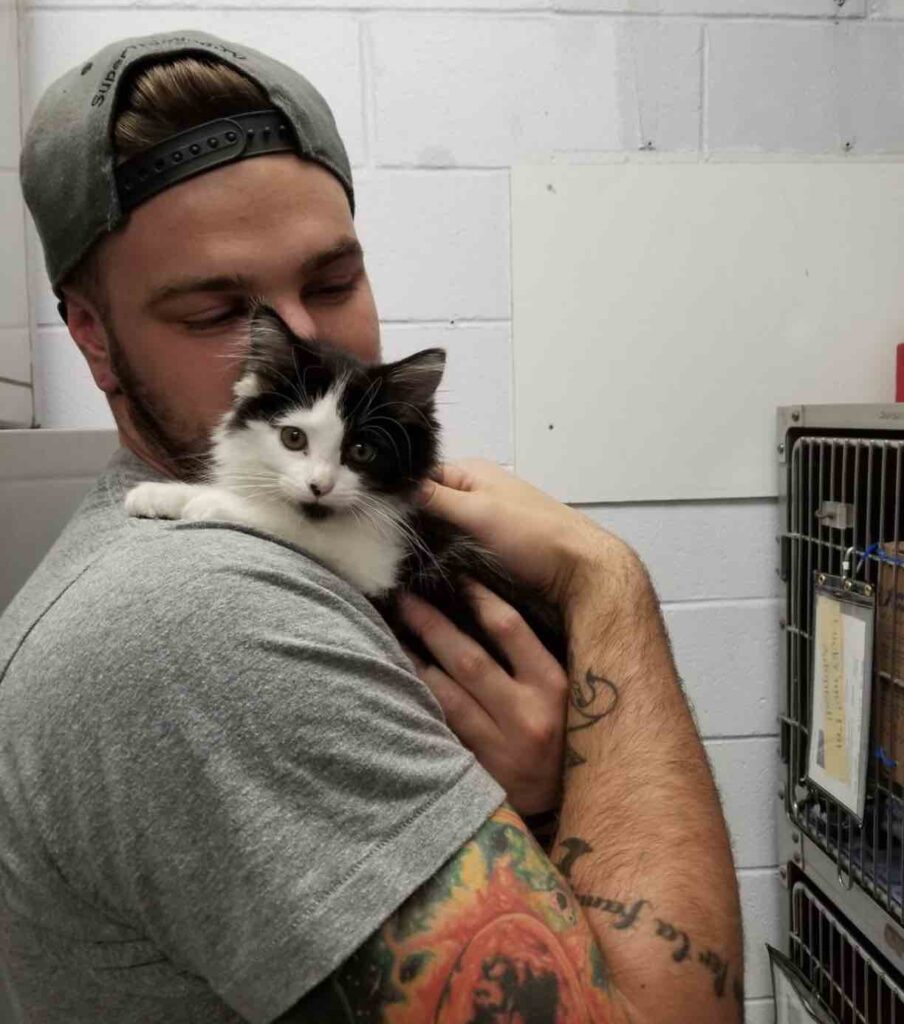 A stray kitten approaches a couple, pleading to be taken home.