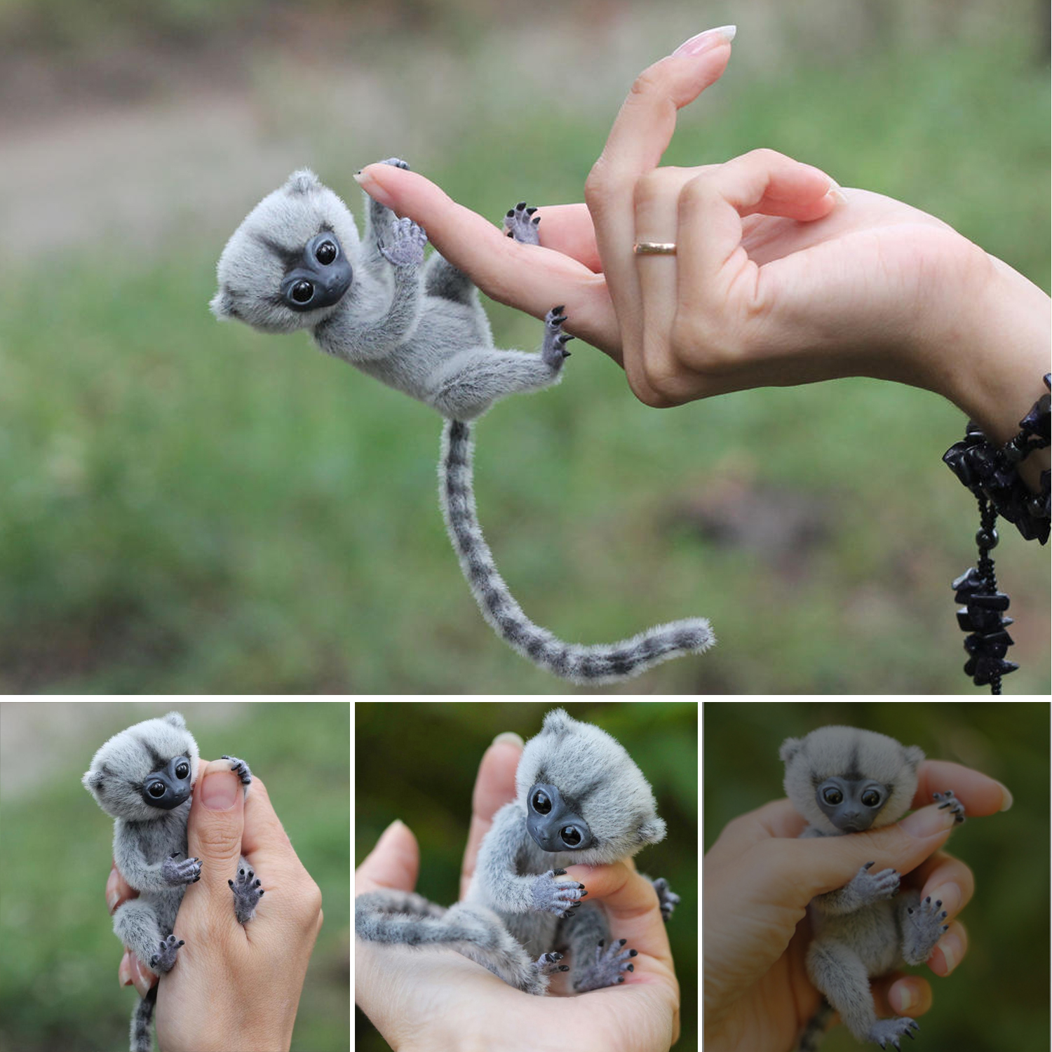 Cute Finger Monkeys: Meet the Tiniest Primates on Earth