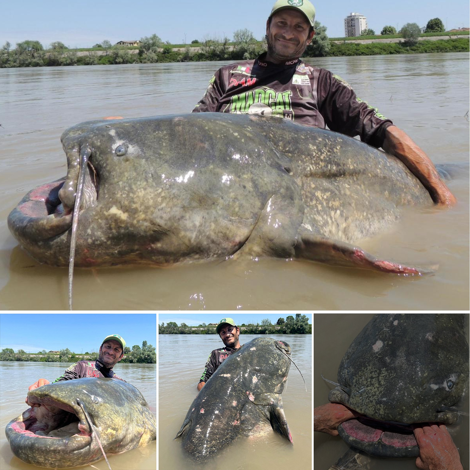 World record fish measuring 9ft 4¼in caught in Italian river after a 43-minute battle.