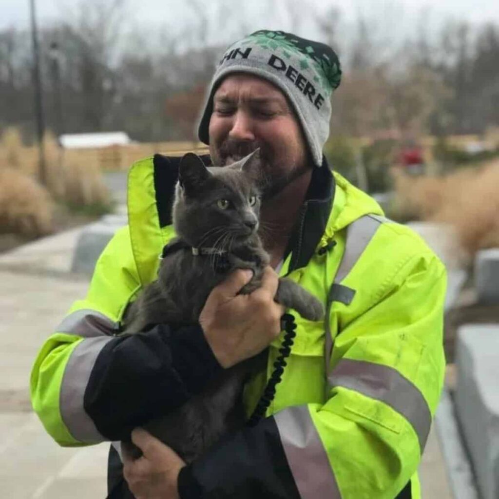 Truck Driver’s Heartwarming Reunion with His Beloved Cat in New York After Five Months Apart